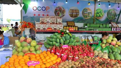 Dự án 'Đặc sản vùng cao': Lan tỏa giá trị nông sản, sẻ chia cộng đồng