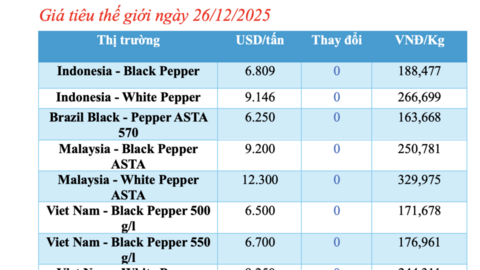 Giá tiêu hôm nay 26/12/2025: Tăng nhẹ 500 - 1.000 đồng