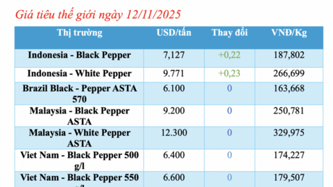 Giá tiêu hôm nay 12/11/2025: Giảm nhẹ ở Đắk Lắk