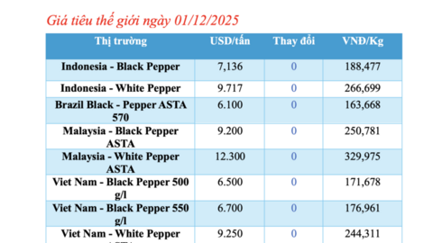 Giá tiêu hôm nay 01/12/2025: Tiếp tục đi ngang