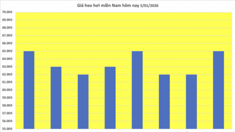 Giá heo hơi hôm nay 5/1/2026: 'Hạ nhiệt' trên cả 3 miền