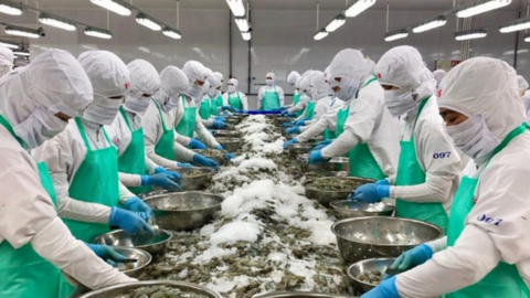 Thủy sản Việt Nam thâm nhập vào thị trường Israel