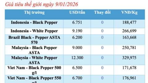 Giá tiêu hôm nay 9/1/2026: Cao nhất 152.500 đồng/kg