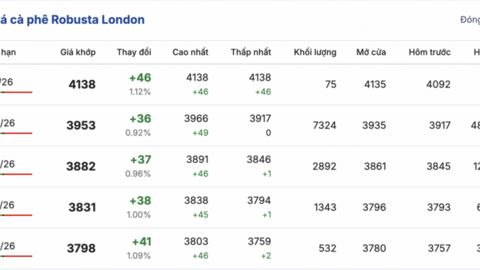 Giá cà phê hôm nay 14/1/2026: Giảm nhẹ ở Lâm Đồng