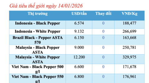 Giá tiêu hôm nay 14/1/2026: Cắt chuỗi neo cao, quay đầu giảm