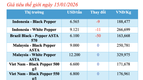 Giá tiêu hôm nay 15/1/2026: Thế giới sụt giảm nhẹ, nội địa đi ngang