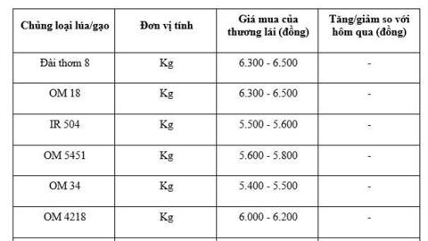 Giá lúa gạo hôm nay ngày 16/1/2026: Phụ phẩm tăng nhẹ