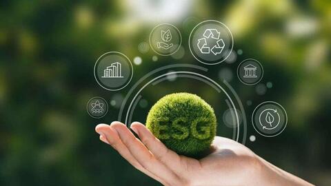 'Xanh để lớn': ESG không chỉ để 'làm đẹp' hồ sơ doanh nghiệp