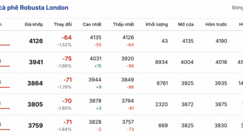 Giá cà phê hôm nay 21/1/2026: Tăng nhẹ 500 - 600 đồng/kg