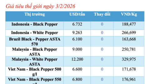 Giá tiêu hôm nay 3/2/2026: Cao nhất 152.000 đồng/kg