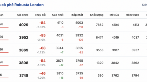 Giá cà phê hôm nay 3/2/2026: Tăng nhẹ