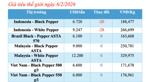 Giá tiêu hôm nay 6/2/2026: Giảm nhẹ tại TP. Hồ Chí Minh
