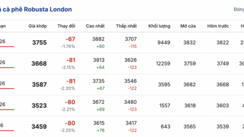 Giá cà phê hôm nay 9/2/2026: Đi ngang phiên đầu tuần