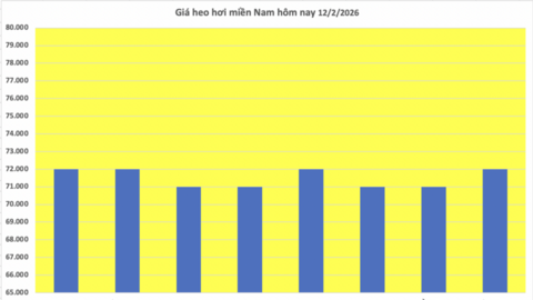 Giá heo hơi hôm nay 12/2/2026: Tiếp đà giảm đồng loạt trên toàn quốc