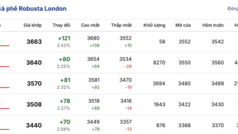 Giá cà phê  hôm nay 25/2/2026: Giảm nhẹ 300 - 400 đồng/kg