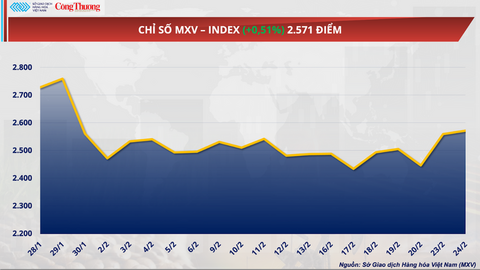 Giá đậu tương tăng tới gần 0,5% lên mức 424,5 USD/tấn