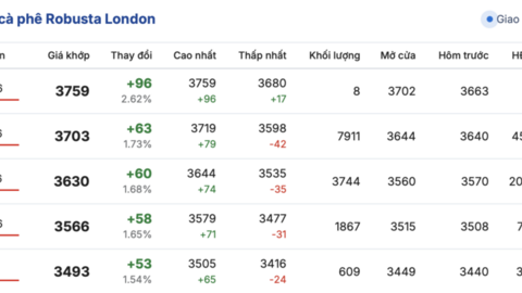 Giá cà phê hôm nay 26/2/2026: Bật tăng mạnh