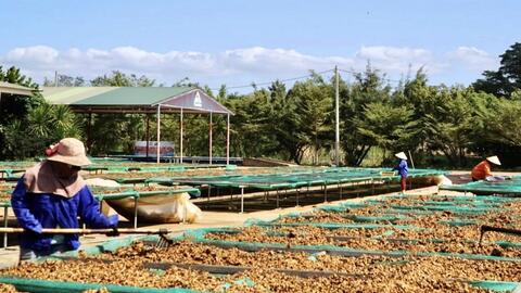 Khu công nghiệp Nam Pleiku tăng sức hút từ dự án chế biến 500 tỷ đồng