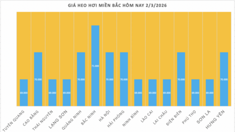 Giá heo hơi hôm nay 2/3/2026: Giữ đà bình ổn