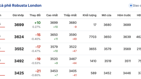 Giá cà phê hôm nay 2/3/2026: Cao nhất 96.000 đồng/kg