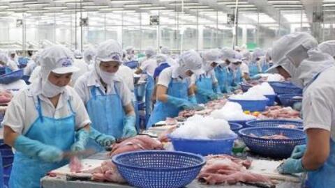 Yếu tố nào giúp xuất khẩu thủy sản tăng trưởng đầu năm 2026?