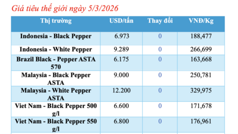 Giá tiêu hôm nay 5/3/2026: Sụt giảm sâu