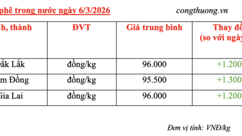 Giá cà phê hôm nay 6/3/2026: Đảo chiều tăng nhẹ