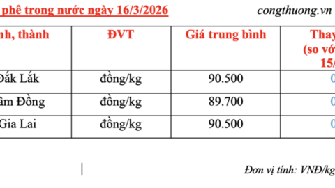 Giá cà phê hôm nay 16/3/2026: Dao động quanh mốc 90.000 đồng/kg