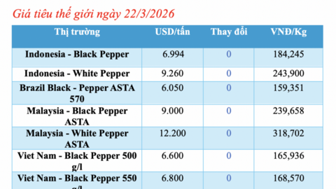 Giá tiêu hôm nay 22/3/2026: Dao động từ 135.000 - 136.000 đồng/kg