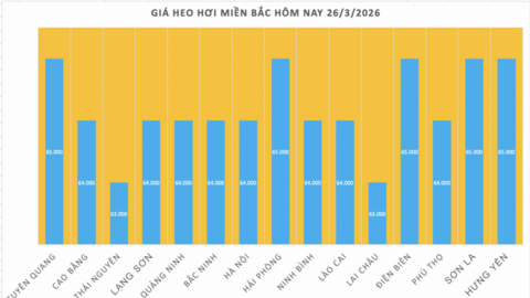 Giá heo hơi hôm nay 26/3: Đi ngang, cao nhất đạt 69.000 đồng/kg