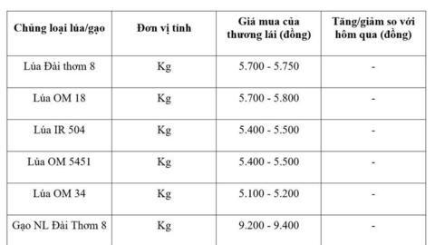 Giá lúa gạo hôm nay ngày 3/4: Gạo nguyên liệu xuất khẩu tăng nhẹ
