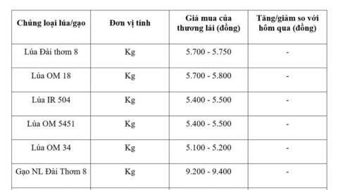 Giá lúa gạo hôm nay ngày 7/4: Gạo nguyên liệu xuất khẩu tiếp đà tăng