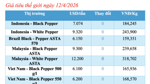 Giá tiêu hôm nay 12/4/2026: Dao động từ 138.500 - 139.500 đồng/kg