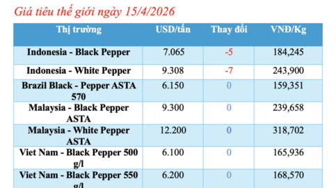 Giá tiêu hôm nay 15/4/2026: Tăng nhẹ cục bộ