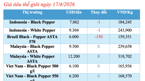 Giá tiêu hôm nay 17/4/2026: Lặng sóng