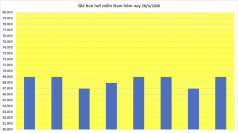 Giá heo hơi hôm nay 20/4/2026: Tăng nhẹ tại miền Trung