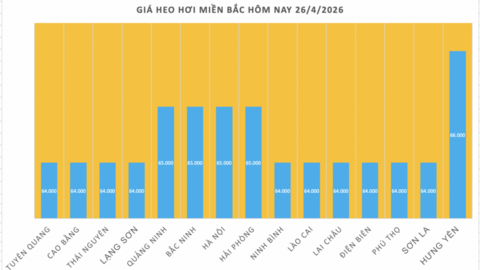 Giá heo hơi hôm nay 26/4/2026: Đi ngang phiên cuối tuần