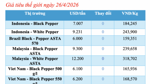 Giá tiêu hôm nay 26/4/2026: Giữ đà ổn định, cao nhất 142.000 đồng/kg