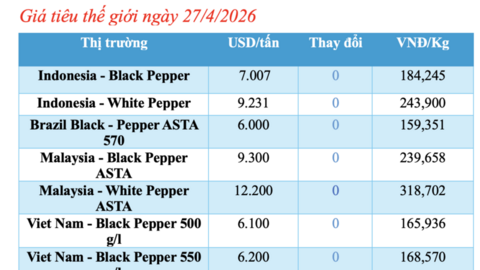 Giá tiêu hôm nay 27/4/2026: Duy trì ổn định