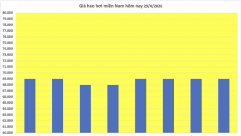 Giá heo hơi hôm nay 29/4/2026: Tiếp tục neo cao