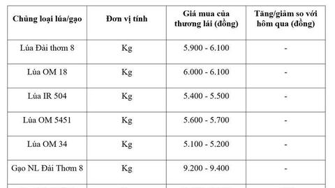 Giá lúa gạo hôm nay ngày 4/5/2026: Gạo nguyên liệu xuất khẩu tăng