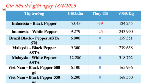 Giá tiêu hôm nay 18/4/2026: Dao động 140.000 - 141.000 đồng/kg
