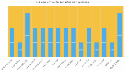Giá heo hơi hôm nay 7/5/2026: Tăng nhẹ tại miền Bắc