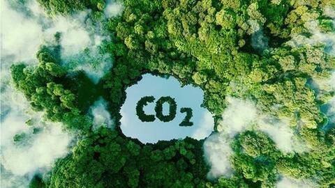 Hướng tới vận hành chính thức sàn giao dịch carbon từ năm 2029