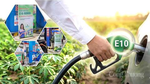 Nhiên liệu sinh học: Hướng đi bền vững cho ngành năng lượng Việt Nam