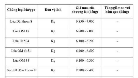 Giá lúa gạo hôm nay ngày 20/7/2026: Gạo nguyên liệu xuất khẩu tăng