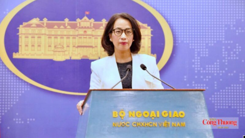 Bộ Ngoại giao thông tin về hoạt động đối ngoại của Việt Nam cuối tháng 7