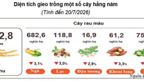Sản xuất nông, lâm nghiệp duy trì ổn định trong 7 tháng đầu năm 2026