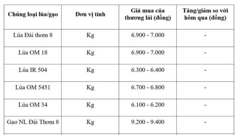 Giá lúa gạo hôm nay ngày 12/8: Gạo nguyên liệu xuất khẩu tiếp đà tăng