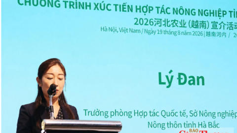 Hà Bắc (Trung Quốc) - Việt Nam mở rộng dư địa hợp tác nông sản